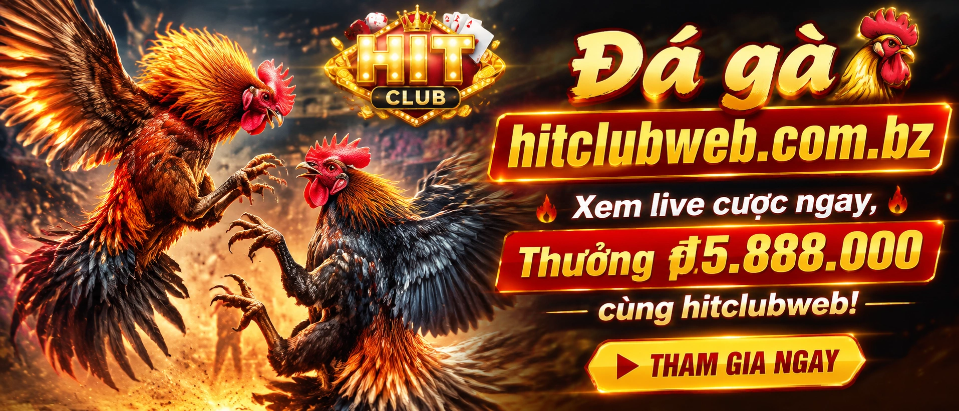 Đá Gà category visual cho trải nghiệm trực tiếp